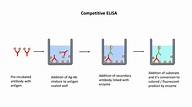 ELISA (Enzyme-Linked Immunosorbent Assay) - The Science Bistro