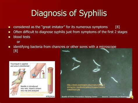 Ppt Syphilis Powerpoint Presentation Free Download Id4979196