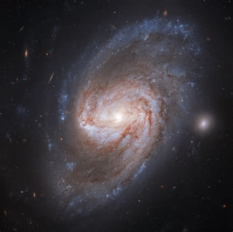 Image: Hubble views a galaxy burning bright