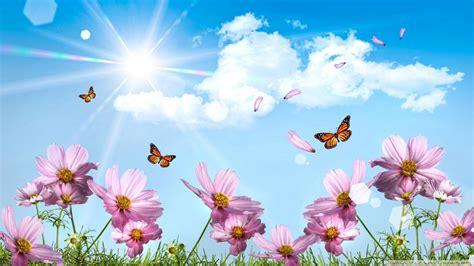 Sunny Spring Day Wallpapers Wallpaper Cave