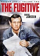 "The Fugitive" (1963-1967) | Old tv shows, Classic television, Great tv ...