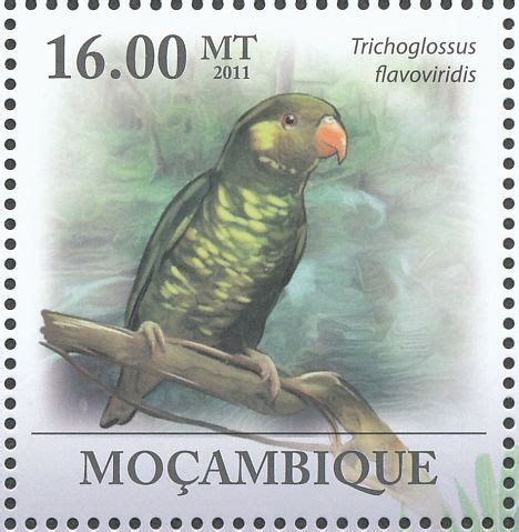 Citrine Lorikeet Stamps Mainly Images Gallery Format Stamp
