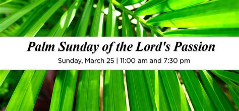 Barry University News Palm Sunday Of The Lords Passion