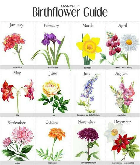 Pin By Homecare On Zodiac Signs Birth Flowers Birth Flower Tattoos