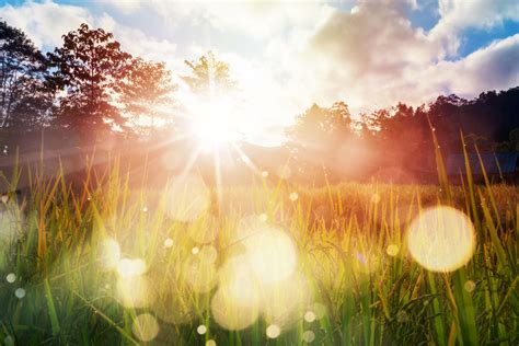 How Sunlight Can Help You Live Well with Parkinson's - Davis Phinney ...