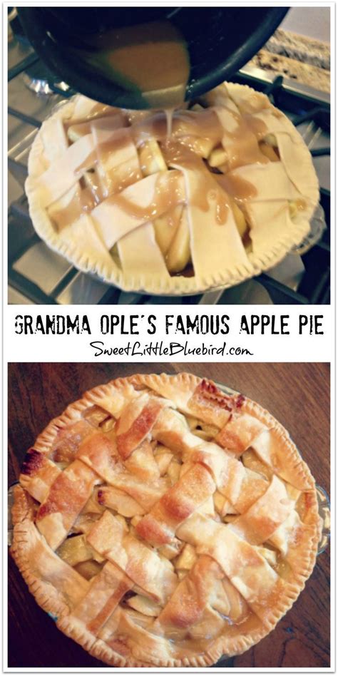 · this traditional homemade apple pie filling will be perfect for all your fall baking this year. Grandma Ople's Famous Apple Pie | Famous apple pie, Best ...