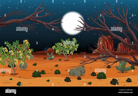 Wild Desert Landscape At Night Scene Illustration Stock Vector Image