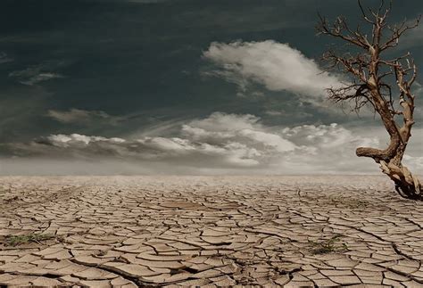 1000 Free Drought And Desert Images Pixabay