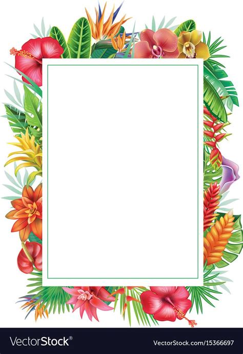 Frame From Tropical Plants Vector Image On Vectorstock Plant Vector