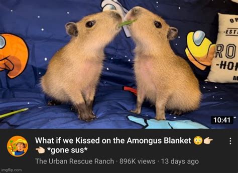 What If We Kissed On The Among Us Blanket Imgflip