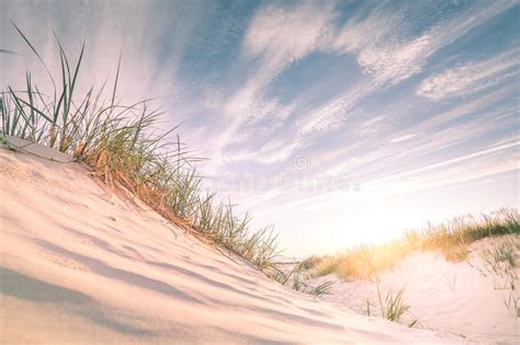 Sandy Beach On Sunset Stock Photo Image Of Horizon Space 84127818
