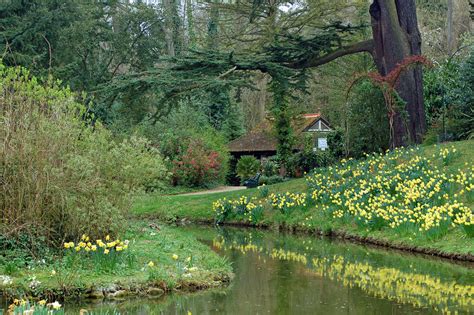 Garden In Spring Free Stock Photo Public Domain Pictures