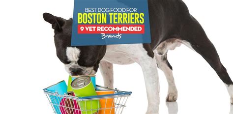 The brand is a trusted name and it prides itself in preparing and offering fresh dog food. 9 Vet Recommended Dog Foods for Boston Terriers | Boston ...