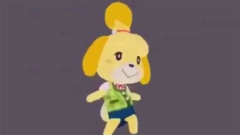 Isabelle Dances To Cg5s Isabelle Sings To The Beat Youtube