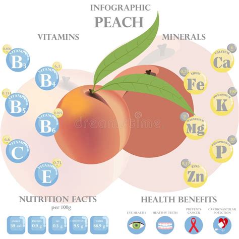 Datos De Nutrici N De Melocot N Y Beneficios Para La Salud Infograf A