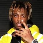 Just type in your search query, choose the sources you would like to search on and click the search button. foto de Juice Wrld