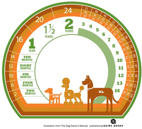 This tool provides an estimate only. Calculate your Dog's age in Human Years