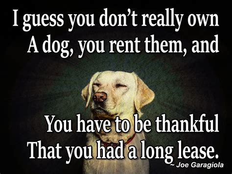 I Guess You Dont Really Own A Dog You Rent Them And You Have To Be