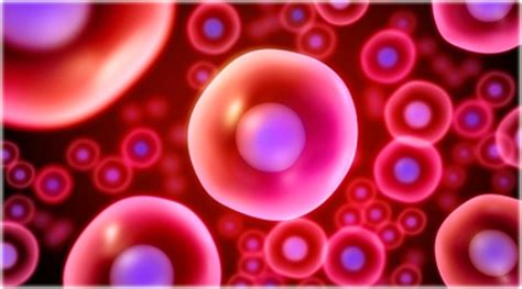 Maybe you would like to learn more about one of these? 10 Facts about Cells | Fact File