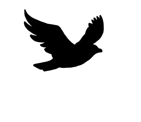 فایل Png پرنده پرواز پرنده مشکی Png Bird Black دانلود رایگان