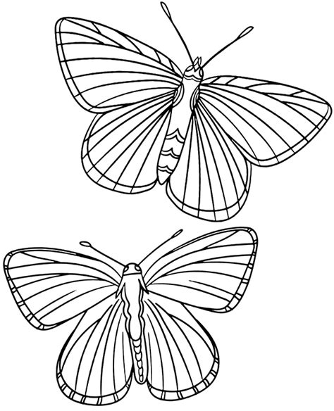 Two Butterflies Coloring Page Sheet