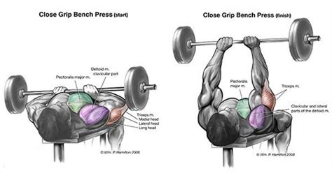 Pause at the bottom of each repetition of your close grip bench press for 1 second before powering the barbell back up to the starting position. Best Exercises To Build Amazing Triceps - VALENTIN BOSIOC