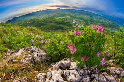 Cele Mai Frumoase Peisaje De Primăvară Din România Fantastică