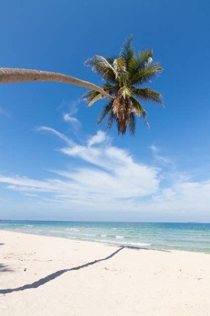 Premium Photo Beautiful Natural Scenery With Beach Coconut Palms And