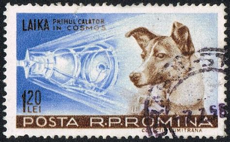 Laika The Soviet Space Dog