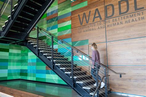 Wsus New Waddl Facility Advances Animal And Human Health Wsu Insider