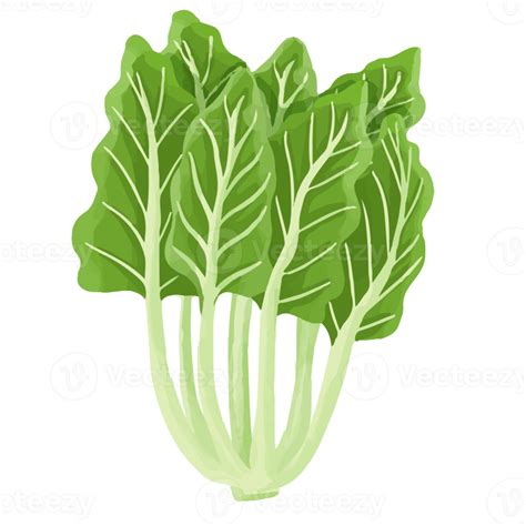 Green Leafy Vegetables Clipart