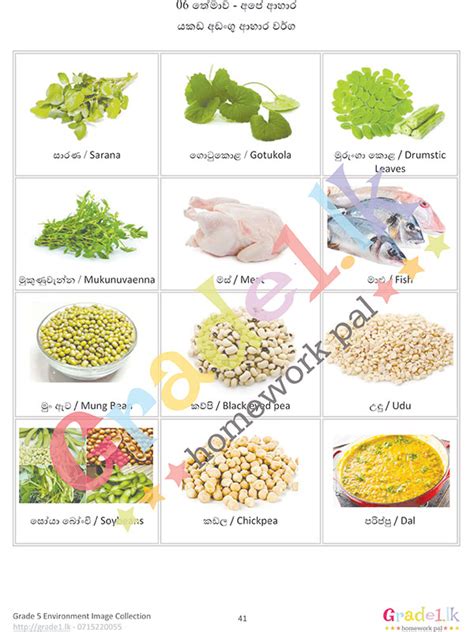Health foods that contain vitamin c. Foods That Contain Iron - Yakada Adangu Ahara Warga-යකඩ ...