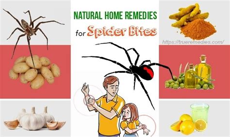 28 Simple Home Remedies For Spider Bites On Face Neck Arm