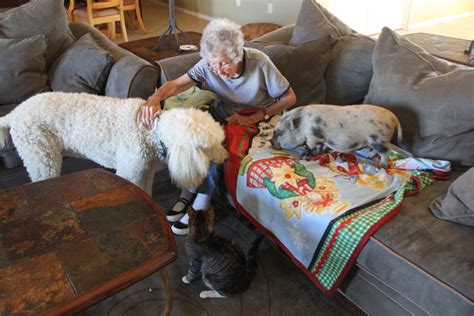 90 Year Old Refuses Cancer Treatment And Hits The Road With Poodle