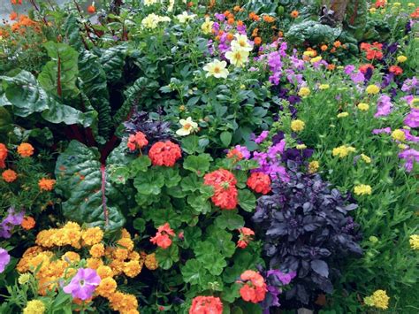 Maybe you would like to learn more about one of these? How to Plant an Edible Landscape | INSTALL-IT-DIRECT