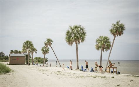 several tampa bay beaches are closed for swimming this weekend due to high fecal bacteria