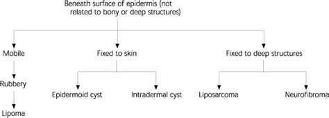 Benign Skin Lesions Definition Common Benign Skin Lesions Diagnosis