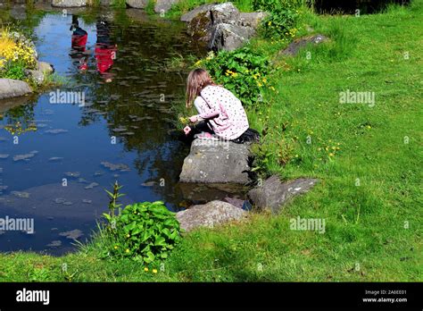Little Girl Playing Near A Pond In Laugardalur Park In Reykjavik