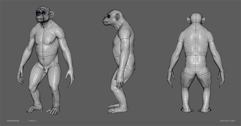 3d Chimpanzee Skeleton Muscles Turbosquid 1537142