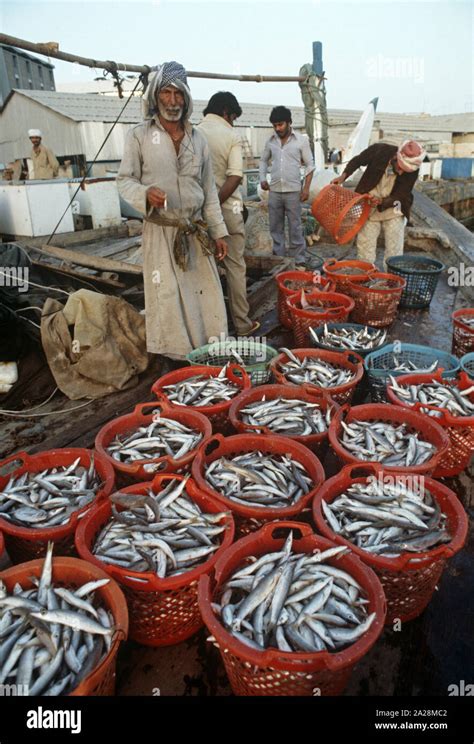 Dubai Fish Market Dubai United Arab Emirates Uae Stock Photo Alamy