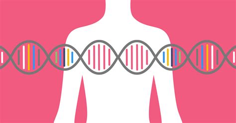 Breast Cancer Genetic Testing And Privacy By Anna Jacobson Berkeleyischool Medium
