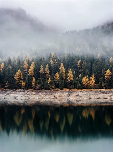 Trees Plants Nature Forests Lake Water Reflection Autumn Fall