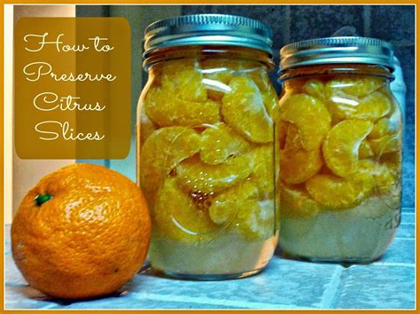 Greneaux Gardens: How to Preserve Citrus Slices | Canned food storage