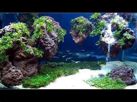 This application contains the most complete guide on how to make aquascape, including: AQUASCAPE WATERFALL with LAVAROCK and MOSS - YouTube