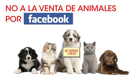 Petition · No To Selling Animals In Facebook No A La Venta De