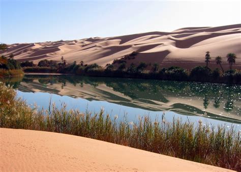 Umm Al Maa Oasis Libyan Sahara © All Rights Reserved Th Flickr