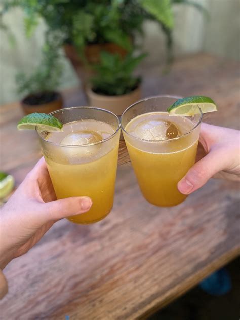 Turmeric Gin And Ginger Cocktail Recipe POPSUGAR Food