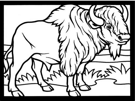 Bison #1191 (Animals) – Printable coloring pages