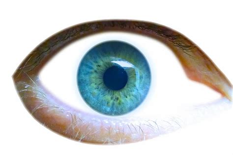 Hd Wallpaper Eye Iris Eyelid View Look See Pupil Eyesight