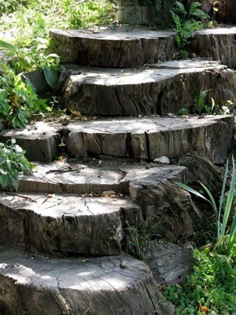 Tree Stump Steps Garden Stairs Garden Pathway Backyard Garden
